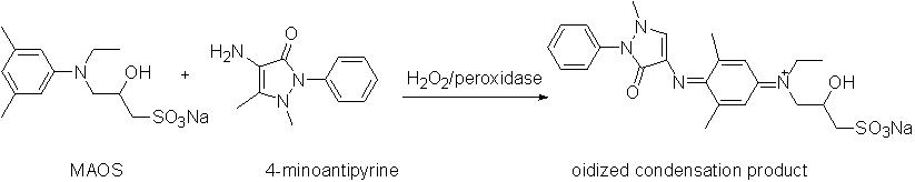 Reaction Principle of New Trinder's Reagent MAOS